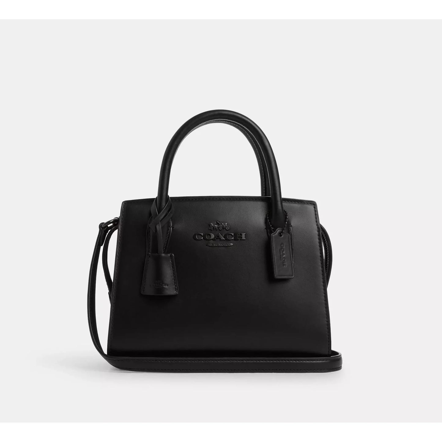 Coach Andrea Carryall Bag