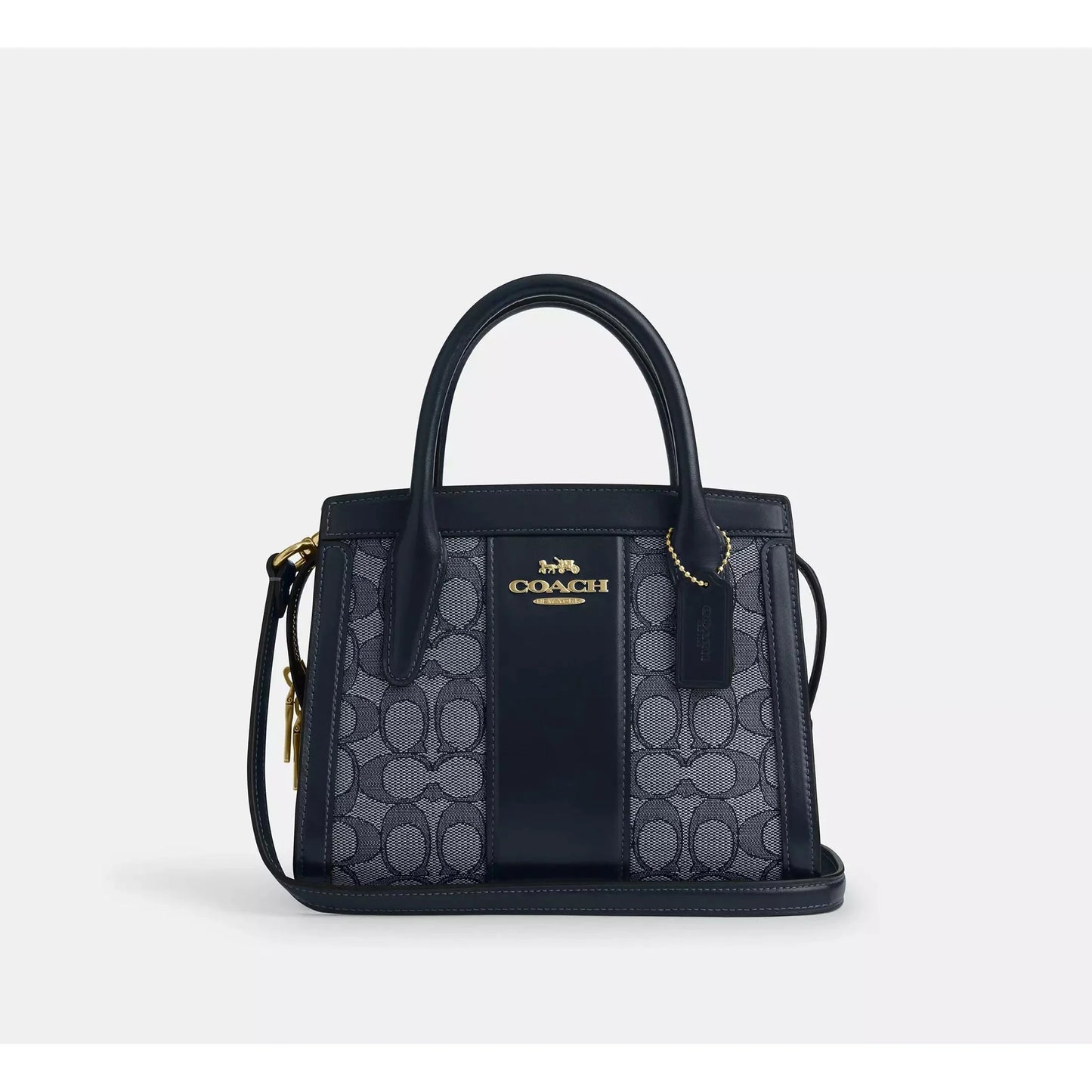 Coach Andrea Carryall Bag